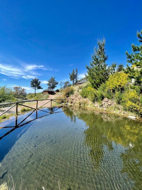 Mountain Eco Shelter 8 Luxuszelt
